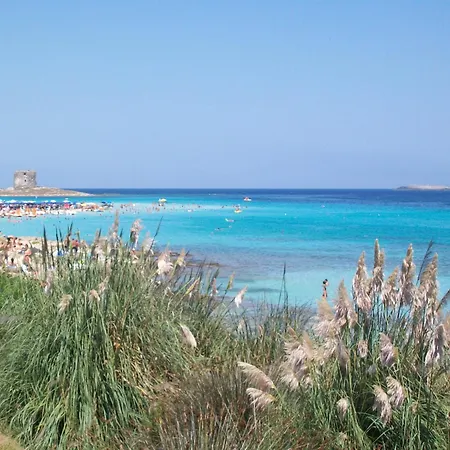 Le Eriche Nyaraló Stintino