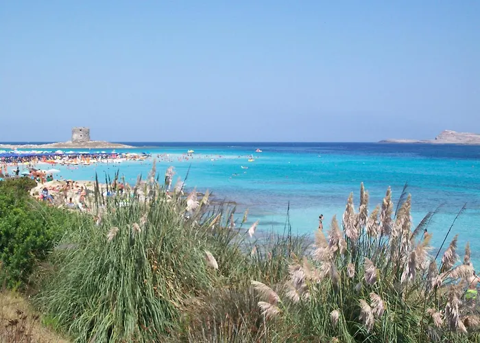 Le Eriche Nyaraló Stintino